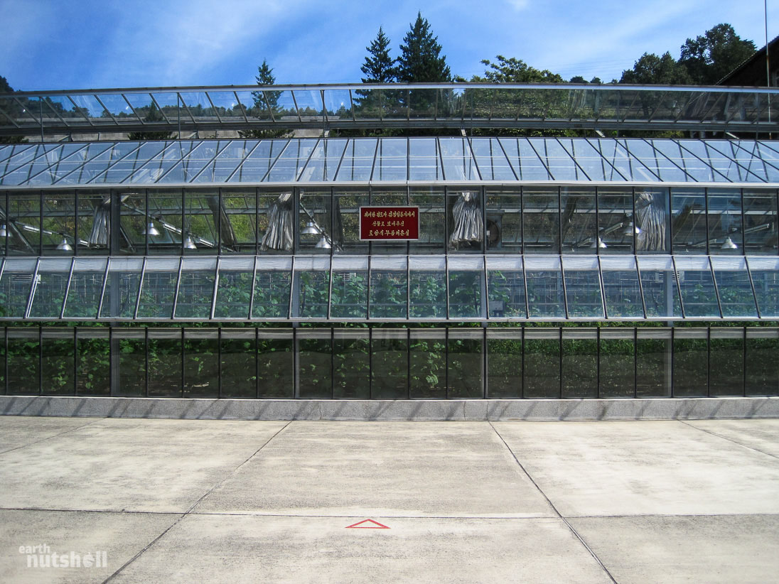 132-kimjongil-stood-greenhouse-